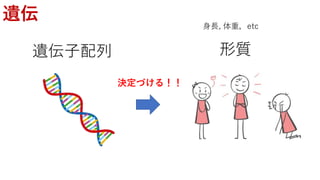 遺伝
遺伝子配列 形質
身長, 体重，etc
決定づける！！
 