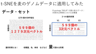 t-SNEを麦のゲノムデータに適用してみた
1279 個のSNP座位
599個体
５９９個の
１２７９次元ベクトル
599個体
３つの量的形質
データ・セット
量的形質とは： 収穫量，色，寿命 などなど 量で図れる形質
V2V1 V3
５９９個の
3次元ベクトル
R package ”BGLR” 付属の麦のデータ：
形質Vkは環境kにおける収穫量
 