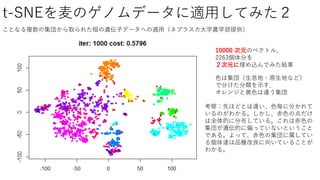 t-SNEを麦のゲノムデータに適用してみた２
10000 次元のベクトル，
2263個体分を
２次元に埋め込んでみた結果
ことなる複数の集団から取られた稲の遺伝子データへの適用（ネブラスカ大学農学部提供）
色は集団（生息地・原生地など）
で分けた分類を示す．
オレンジと黄色は違う集団
考察：先ほどとは違い、色毎に分かれて
いるのがわかる。しかし、赤色の点だけ
は全体的に分布している。これは赤色の
集団が遺伝的に偏っていないということ
である。よって、赤色の集団に属してい
る個体達は品種改良に向いていることが
わかる。
 