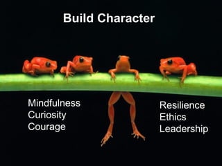 © Charles Fadel – All Rights Reserved
Build Character
Mindfulness
Curiosity
Courage
Resilience
Ethics
Leadership
 