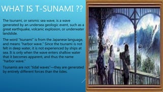 Tsunami in japanese language means