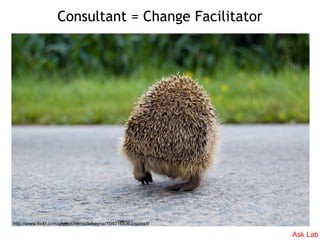 Consultant = Change Facilitator




http://www.flickr.com/photos/denisdefreyne/1040165363/sizes/l/

                      ...