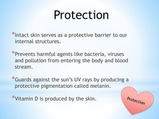 *Intact skin serves as a protective barrier to our
internal structures.
*Prevents harmful agents like bacteria, viruses
and pollution from entering the body and blood
stream.
*Guards against the sun’s UV rays by producing a
protective pigmentation called melanin.
*Vitamin D is produced by the skin.
Protection
 