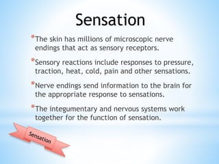 *The skin has millions of microscopic nerve
endings that act as sensory receptors.
*Sensory reactions include responses to pressure,
traction, heat, cold, pain and other sensations.
*Nerve endings send information to the brain for
the appropriate response to sensations.
*The integumentary and nervous systems work
together for the function of sensation.
Sensation
 
