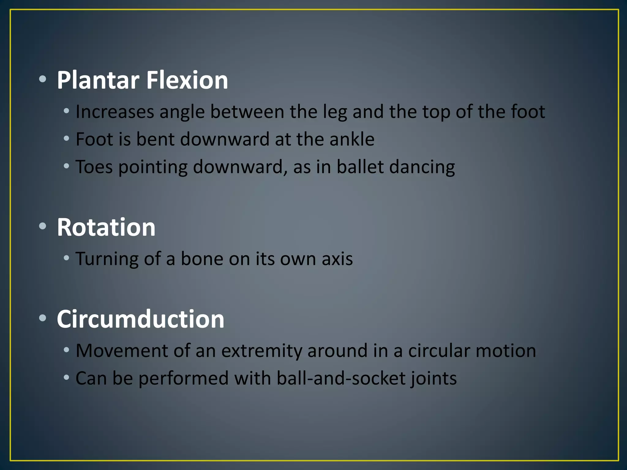 The Muscular System | PPTX