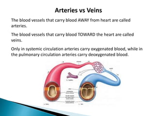 Arteries vs Veins
The blood vessels that carry blood AWAY from heart are called
arteries.
The blood vessels that carry blood TOWARD the heart are called
veins.
Only in systemic circulation arteries carry oxygenated blood, while in
the pulmonary circulation arteries carry deoxygenated blood.
 