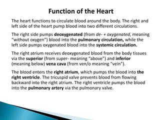 Function of the Heart
The heart functions to circulate blood around the body. The right and
left side of the heart pump blood into two different circulations.
The right side pumps deoxygenated (from de- + oxygenated, meaning
“without oxygen”) blood into the pulmonary circulation, while the
left side pumps oxygenated blood into the systemic circulation.
The right atrium receives deoxygenated blood from the body tissues
via the superior (from super- meaning “above”) and inferior
(meaning below) vena cava (from ven/o meaning “vein”).
The blood enters the right atrium, which pumps the blood into the
right ventricle. The tricuspid valve prevents blood from flowing
backward into the right atrium. The right ventricle pumps the blood
into the pulmonary artery via the pulmonary valve.
 