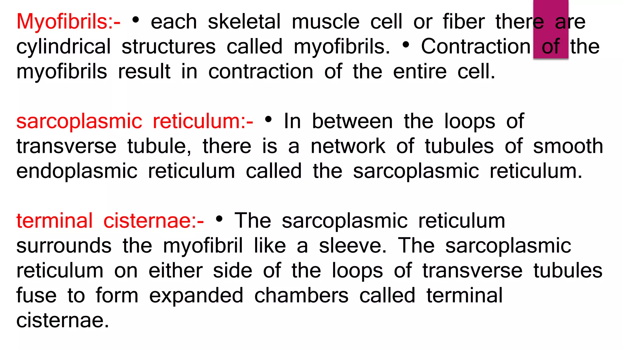 Myofibrils:- • each skeletal muscle cell or fiber there are
cylindrical structures called myofibrils. • Contraction of the
myofibrils result in contraction of the entire cell.
sarcoplasmic reticulum:- • In between the loops of
transverse tubule, there is a network of tubules of smooth
endoplasmic reticulum called the sarcoplasmic reticulum.
terminal cisternae:- • The sarcoplasmic reticulum
surrounds the myofibril like a sleeve. The sarcoplasmic
reticulum on either side of the loops of transverse tubules
fuse to form expanded chambers called terminal
cisternae.
 