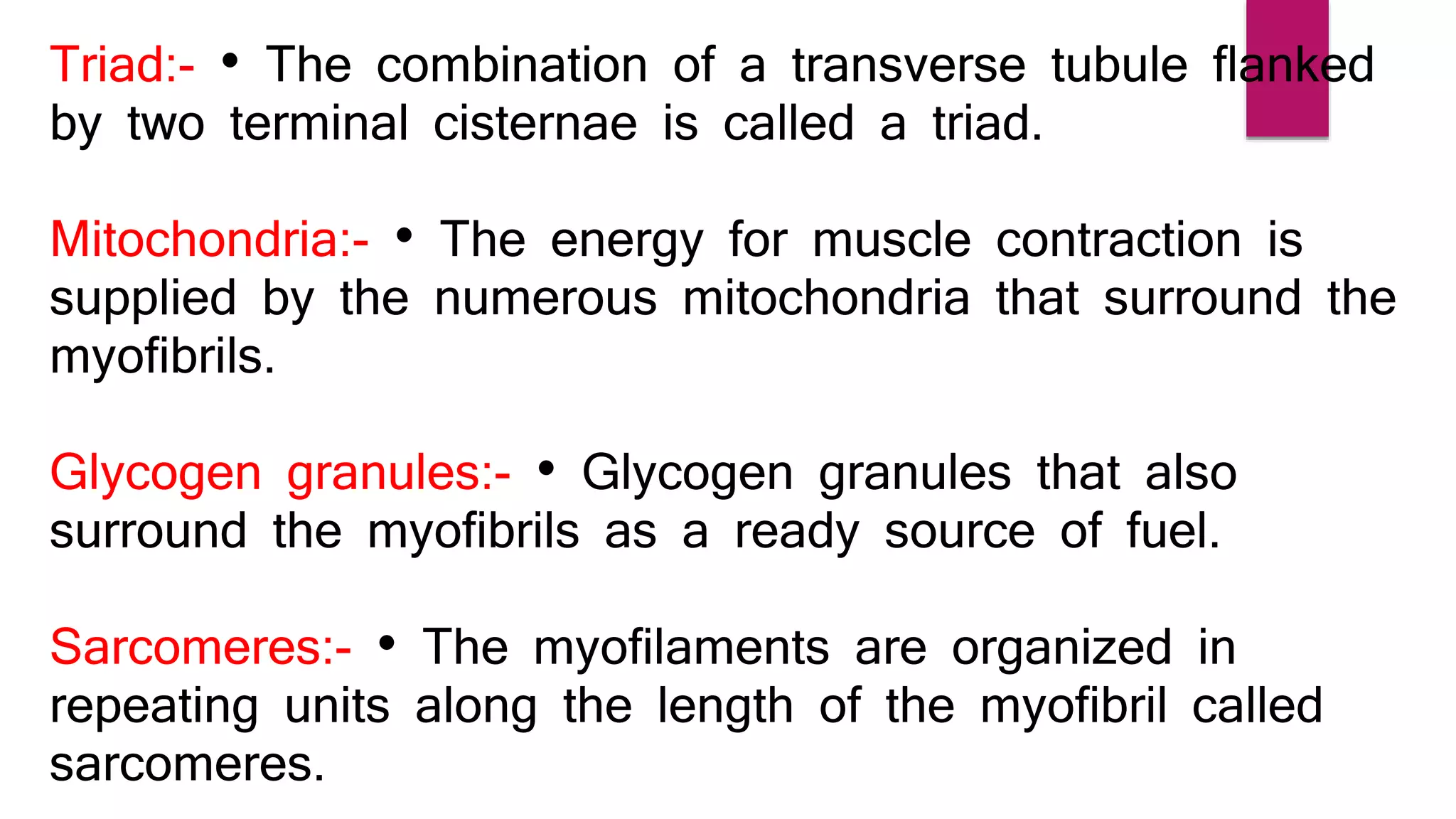 Triad:- • The combination of a transverse tubule flanked
by two terminal cisternae is called a triad.
Mitochondria:- • The energy for muscle contraction is
supplied by the numerous mitochondria that surround the
myofibrils.
Glycogen granules:- • Glycogen granules that also
surround the myofibrils as a ready source of fuel.
Sarcomeres:- • The myofilaments are organized in
repeating units along the length of the myofibril called
sarcomeres.
 