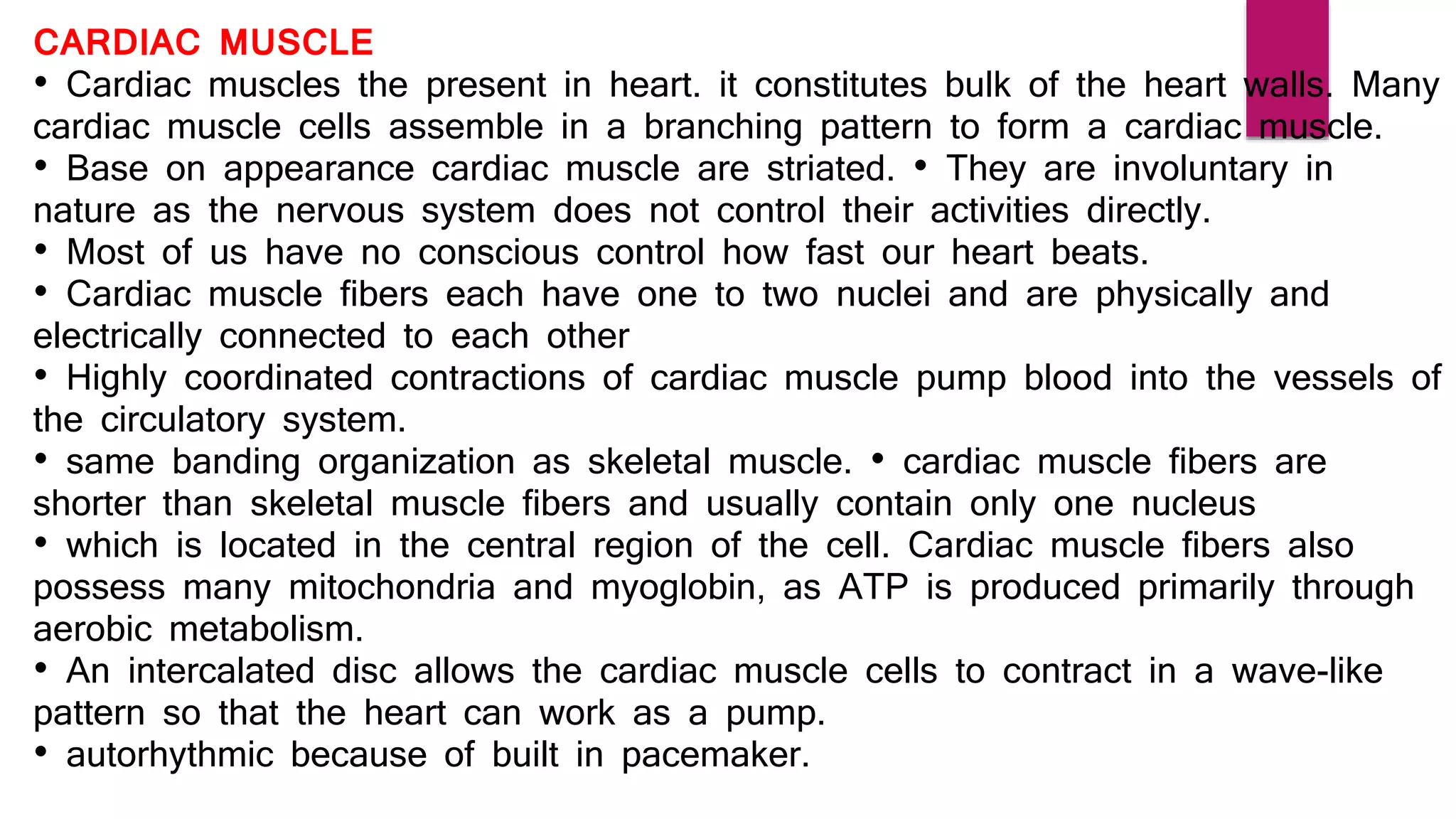 CARDIAC MUSCLE
• Cardiac muscles the present in heart. it constitutes bulk of the heart walls. Many
cardiac muscle cells assemble in a branching pattern to form a cardiac muscle.
• Base on appearance cardiac muscle are striated. • They are involuntary in
nature as the nervous system does not control their activities directly.
• Most of us have no conscious control how fast our heart beats.
• Cardiac muscle fibers each have one to two nuclei and are physically and
electrically connected to each other
• Highly coordinated contractions of cardiac muscle pump blood into the vessels of
the circulatory system.
• same banding organization as skeletal muscle. • cardiac muscle fibers are
shorter than skeletal muscle fibers and usually contain only one nucleus
• which is located in the central region of the cell. Cardiac muscle fibers also
possess many mitochondria and myoglobin, as ATP is produced primarily through
aerobic metabolism.
• An intercalated disc allows the cardiac muscle cells to contract in a wave-like
pattern so that the heart can work as a pump.
• autorhythmic because of built in pacemaker.
 