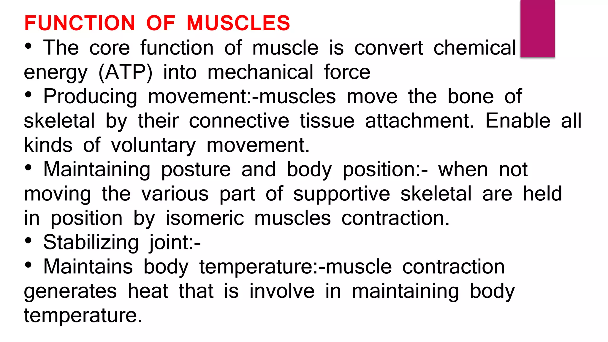 FUNCTION OF MUSCLES
• The core function of muscle is convert chemical
energy (ATP) into mechanical force
• Producing movement:-muscles move the bone of
skeletal by their connective tissue attachment. Enable all
kinds of voluntary movement.
• Maintaining posture and body position:- when not
moving the various part of supportive skeletal are held
in position by isomeric muscles contraction.
• Stabilizing joint:-
• Maintains body temperature:-muscle contraction
generates heat that is involve in maintaining body
temperature.
 