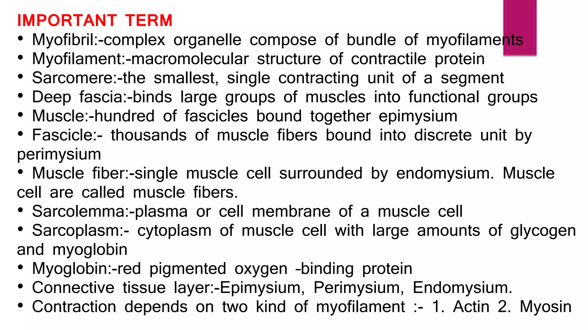 IMPORTANT TERM
• Myofibril:-complex organelle compose of bundle of myofilaments
• Myofilament:-macromolecular structure of contractile protein
• Sarcomere:-the smallest, single contracting unit of a segment
• Deep fascia:-binds large groups of muscles into functional groups
• Muscle:-hundred of fascicles bound together epimysium
• Fascicle:- thousands of muscle fibers bound into discrete unit by
perimysium
• Muscle fiber:-single muscle cell surrounded by endomysium. Muscle
cell are called muscle fibers.
• Sarcolemma:-plasma or cell membrane of a muscle cell
• Sarcoplasm:- cytoplasm of muscle cell with large amounts of glycogen
and myoglobin
• Myoglobin:-red pigmented oxygen –binding protein
• Connective tissue layer:-Epimysium, Perimysium, Endomysium.
• Contraction depends on two kind of myofilament :- 1. Actin 2. Myosin
 