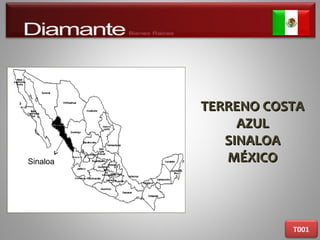 TERRENO COSTATERRENO COSTA
AZULAZUL
SINALOASINALOA
MÉXICOMÉXICO
T001
Sinaloa
 