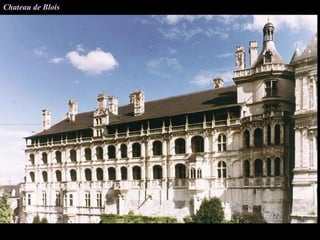 Chateau de Blois
 
