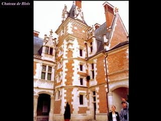 Chateau de Blois
 