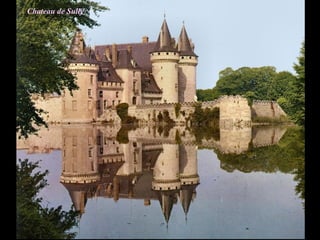Chateau de Sully
 