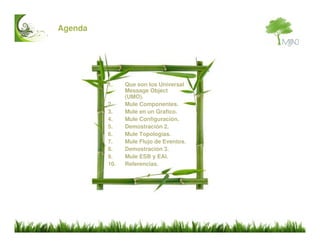 Mule ESB Introduccion