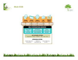 Mule ESB Introduccion