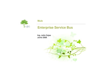 Mule


Enterprise Service Bus

Ing. Julio Cejas
Junio 2008
 