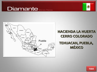 HACIENDA LA HUERTAHACIENDA LA HUERTA
CERRO COLORADOCERRO COLORADO
TEHUACAN, PUEBLA,TEHUACAN, PUEBLA,
MÉXICOMÉXICO
T004
Puebla
 