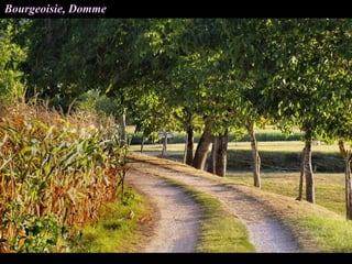 Bourgeoisie, Domme
 
