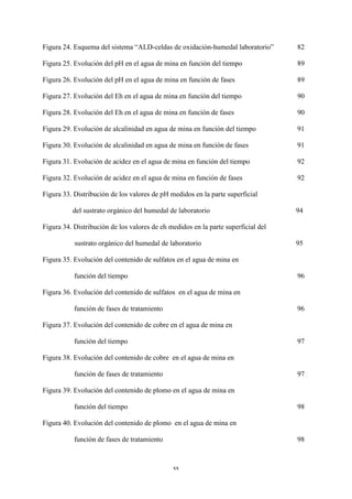 xx
Figura 24. Esquema del sistema “ALD-celdas de oxidación-humedal laboratorio” 82
Figura 25. Evolución del pH en el agua de mina en función del tiempo 89
Figura 26. Evolución del pH en el agua de mina en función de fases 89
Figura 27. Evolución del Eh en el agua de mina en función del tiempo 90
Figura 28. Evolución del Eh en el agua de mina en función de fases 90
Figura 29. Evolución de alcalinidad en agua de mina en función del tiempo 91
Figura 30. Evolución de alcalinidad en agua de mina en función de fases 91
Figura 31. Evolución de acidez en el agua de mina en función del tiempo 92
Figura 32. Evolución de acidez en el agua de mina en función de fases 92
Figura 33. Distribución de los valores de pH medidos en la parte superficial
del sustrato orgánico del humedal de laboratorio 94
Figura 34. Distribución de los valores de eh medidos en la parte superficial del
sustrato orgánico del humedal de laboratorio 95
Figura 35. Evolución del contenido de sulfatos en el agua de mina en
función del tiempo 96
Figura 36. Evolución del contenido de sulfatos en el agua de mina en
función de fases de tratamiento 96
Figura 37. Evolución del contenido de cobre en el agua de mina en
función del tiempo 97
Figura 38. Evolución del contenido de cobre en el agua de mina en
función de fases de tratamiento 97
Figura 39. Evolución del contenido de plomo en el agua de mina en
función del tiempo 98
Figura 40. Evolución del contenido de plomo en el agua de mina en
función de fases de tratamiento 98
 