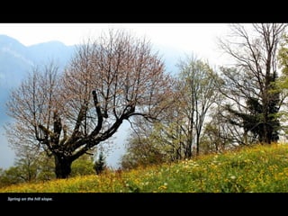 Spring on the hill slope.
 
