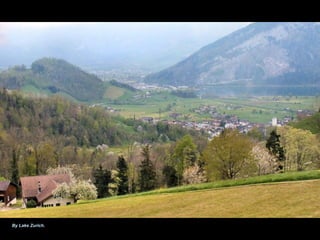 By Lake Zurich.
 