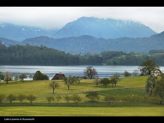 Lake Lucerne nr Kussnacht.
 