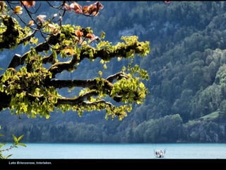 Lake Brienzersee, Interlaken.
 
