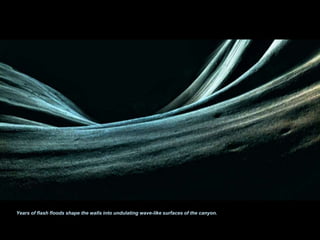 Years of flash floods shape the walls into undulating wave-like surfaces of the canyon. 
 