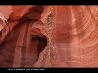 Patches of dark and light colour of lichen on the rock. 
 