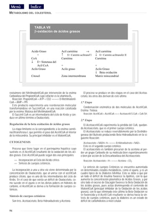 METABOLISMO DEL COLESTEROL



                         TABLA VII
                         β-oxidación de ácidos grasos




                      Acido Graso                   Acil carnitina       →        Acil carnitina
                           +                        ↑ E= Carnitin aciltransf I    ↓ E= Carnitin aciltransfer II
                      CoA                           Carnitina                     Carnitina
                      ↓ E= Sintetasa del
                           Acil CoA                 +                             +
                      Acilo Graso                   Acilo graso                   Acilo Graso
                                                                                  ↓ Beta oxidación
                      Citosol                       Zona intermembrana            Matriz mitocondrial




reoisómero del MetilmalonilCoA por intervención de la enzima          El proceso se produce en dos etapas en el caso del Acetoa-
Carboxilasa del PropionilCoA cuyo cofactor es la vitamina B1.       cetato, los otros dos derivan de este último.
   Reacción: PropionilCoA + ATP + CO2 ——> D-Metilmalonil-
CoA + AMP + PPi.                                                    1.a Etapa
   Este producto experimenta una reordenación molecular
transformándose en SuccinilCoA, en una reacción catalizada            Condensación enzimática de dos moléculas de AcetilCoA.
por la enzima: Mutasa del MetilmalonilCoA.                          Enzima: Tiolasa.
   El Succinil CoA es un intermediario del ciclo de Krebs y con-       Reacción: AcetilCoA + AcetilCoA —-> Acetoacetil-S-CoA + CoA-SH.
duce en último término a Oxalacetato.
                                                                    2.a Etapa
Regulación de la beta oxidación de ácidos grasos                      El AcetoacetilCoA experimenta la pérdida del CoA, quedan-
  La etapa limitante es la correspondiente a la enzima carniti-     do Acetoacetato, que es el primer cuerpo cetónico.
naciltransferasa I, que permite el paso del AcetilCoA al interior     El Acetoacetato se reduce reversiblemente por la Deshidro-
de la mitocondria. Su principal inhibidor es el MalonilCoA.         genasa del Butirato produciendo Beta Hidroxibutirato en la si-
                                                                    guiente Reacción:
CETOGENESIS                                                            Acetoacetato + NADH+ H+ ——> B.Hidroxibutirato + NAD+.
                                                                       Este es el segundo cuerpo cetónico.
  Proceso que tiene lugar en el parénquima hepático cuyo               El acetoacetato es también precursor de la acetona al per-
sustrato es el AcetilCoA resultante de la oxidación de los áci-     der un grupo Carboxilo de su molécula bien espontáneamente
dos grasos. Este AcetilCoA puede seguir dos vías principales:       o bien por acción de la Descarboxilasa del Acetoacetato.
      — Incorporación al Ciclo del Acido cítrico.                      Reacción: Acetoacetato + H+ ——> Acetona + CO2.
      — Síntesis de cuerpos cetónicos.
                                                                       La síntesis de cuerpos Cetónicos se encuentra aumentada
  La incorporación a una u otra vía viene determinada por la        en determinados estados metabólicos, como el ayuno, y es un
concentración de Oxalacetato, que al unirse con el acetilCoA        cuadro típico de la Diabetes Mellitus. Esto se debe a que por
produce citrato, que es uno de los intermediarios del ciclo de      un lado el déficit de Insulina favorece la lipólisis, con lo que
Krebs. En el caso de que exista un déficit de Oxalacetato, co-      aumenta la concentración plasmática de Acidos Grasos, y por
mo sucede en el ayuno o en las dietas pobres en hidratos de         otro lado el exceso de Glucagón favorece la Beta Oxidación de
carbono, el AcetilCoA se deriva a la formación de cuerpos ce-       los ácidos grasos, pues actúa disminuyendo el contenido de
tónicos.                                                            MalonilCoA (principal inhibidor de la Oxidación de los ácidos
                                                                    grasos), con lo que eliminado éste último la Beta Oxidación se
Síntesis de cuerpos cetónicos                                       ve favorecida y el Acetil CoA resultante se deriva hacia la sín-
                                                                    tesis de cuerpos cetónicos, pues la diabetes es un estado de
     Son tres. Acetoacetato, Beta Hidroxibutirato y Acetona.        déficit de carbohidratos a nivel celular.


96
 