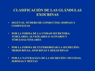 04-Epitelios_glandulares.ppt