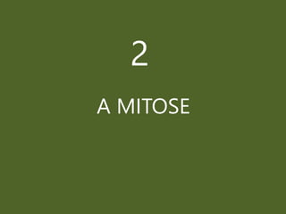 2
A MITOSE
 