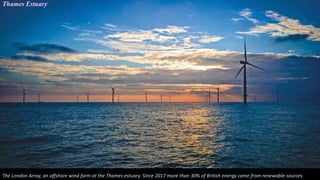 The London Array, an offshore wind farm at the Thames estuary. Since 2017 more than 30% of British energy came from renewable sources.
Thames Estuary
 