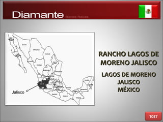 RANCHO LAGOS DERANCHO LAGOS DE
MORENO JALISCOMORENO JALISCO
LAGOS DE MORENOLAGOS DE MORENO
JALISCOJALISCO
MÉXICOMÉXICO
T037
Jalisco
 