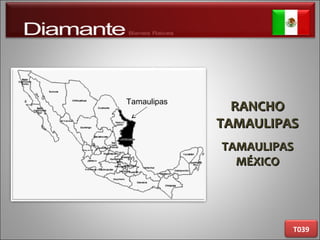 RANCHORANCHO
TAMAULIPASTAMAULIPAS
TAMAULIPASTAMAULIPAS
MÉXICOMÉXICO
T039
Tamaulipas
 
