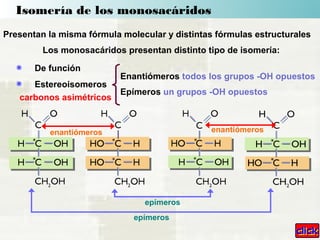 Los monosacáridos presentan distinto tipo de isomería:
De función
Estereoisomeros
Enantiómeros todos los grupos -OH opuestos
Epímeros un grupos -OH opuestos
epímeros
epímeros
enantiómeros enantiómeros
Presentan la misma fórmula molecular y distintas fórmulas estructurales
carbonos asimétricos
Isomería de los monosacáridos
 