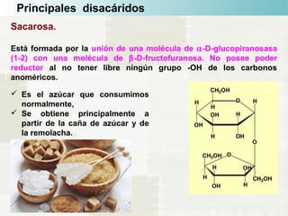 Principales disacáridos
Sacarosa.
Está formada por la unión de una molécula de α-D-glucopiranosasa
(1-2) con una molécula de β-D-fructofuranosa. No posee poder
reductor al no tener libre ningún grupo -OH de los carbonos
anoméricos.
 Es el azúcar que consumimos
normalmente,
 Se obtiene principalmente a
partir de la caña de azúcar y de
la remolacha.
 