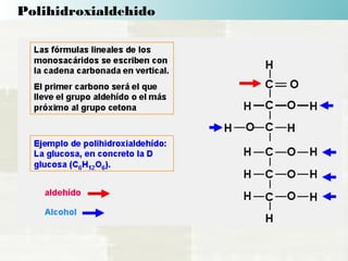 Polihidroxialdehido
 