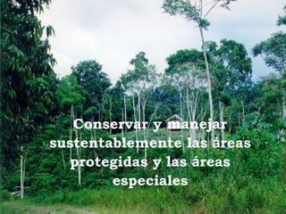 Conservar y manejar
sustentablemente las áreas
protegidas y las áreas
especiales
 