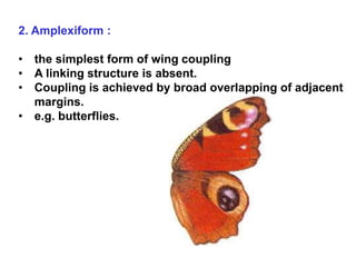 T 06 Thorax.ppt