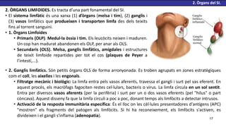 Comprehensive Overview of the Immune System: Organs, Cells, and ...