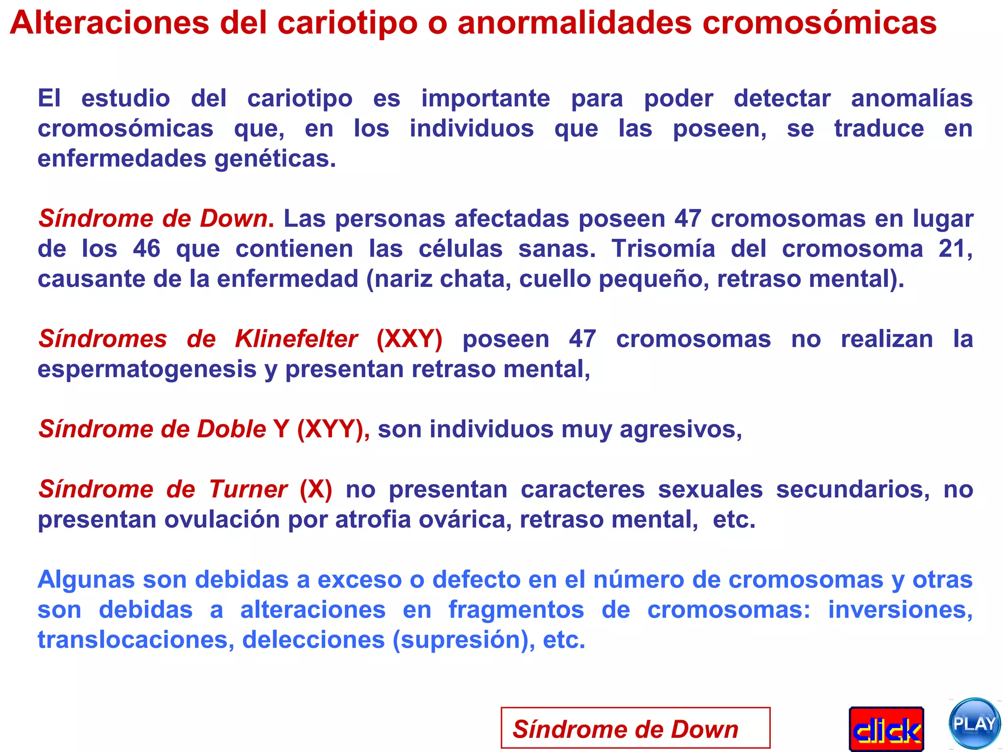 Alteraciones del cariotipo o anormalidades cromosómicas
El estudio del cariotipo es importante para poder detectar anomalías
cromosómicas que, en los individuos que las poseen, se traduce en
enfermedades genéticas.
Síndrome de Down. Las personas afectadas poseen 47 cromosomas en lugar
de los 46 que contienen las células sanas. Trisomía del cromosoma 21,
causante de la enfermedad (nariz chata, cuello pequeño, retraso mental).
Síndromes de Klinefelter (XXY) poseen 47 cromosomas no realizan la
espermatogenesis y presentan retraso mental,
Síndrome de Doble Y (XYY), son individuos muy agresivos,
Síndrome de Turner (X) no presentan caracteres sexuales secundarios, no
presentan ovulación por atrofia ovárica, retraso mental, etc.
Algunas son debidas a exceso o defecto en el número de cromosomas y otras
son debidas a alteraciones en fragmentos de cromosomas: inversiones,
translocaciones, delecciones (supresión), etc.
Síndrome de Down
 