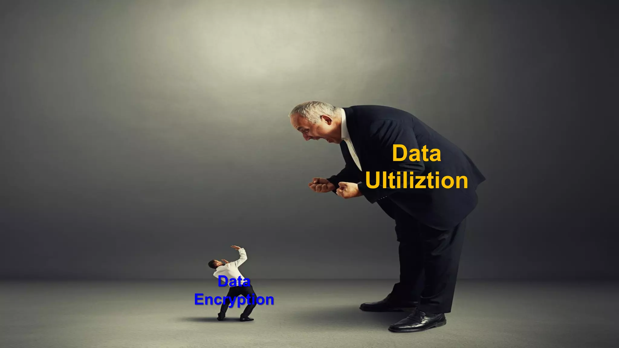 Data UltiliztionData Encryption  