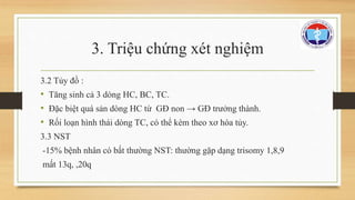 3. Triệu chứng xét nghiệm 
3.2 Tủy đồ : 
• Tăng sinh cả 3 dòng HC, BC, TC. 
• Đặc biệt quá sản dòng HC từ GĐ non → GĐ trưởng thành. 
• Rối loạn hình thái dòng TC, có thể kèm theo xơ hóa tủy. 
3.3 NST 
-15% bệnh nhân có bất thường NST: thường gặp dạng trisomy 1,8,9 
mất 13q, ,20q 
 
