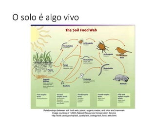 O solo é algo vivo
 