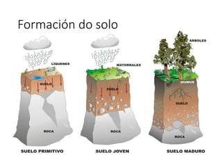 Formación do solo
 