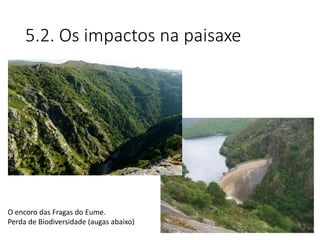 5.2. Os impactos na paisaxe
O encoro das Fragas do Eume.
Perda de Biodiversidade (augas abaixo)
 